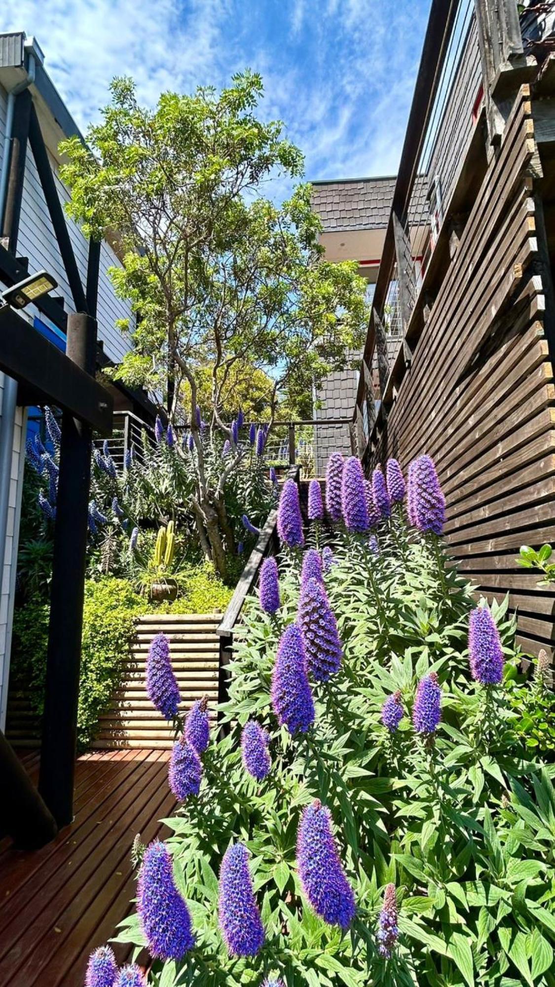 Lofts - Casa El Pangue, Aparthotel